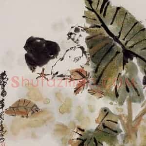 1981年 黄胄《雏鸡》国画花鸟作品图片赏析