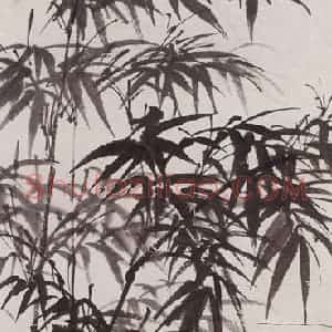 黄胄《竹石》国画花鸟作品图片赏析