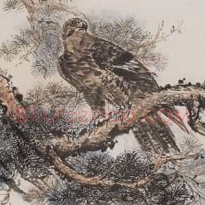 黄胄《松鹰》国画花鸟作品图片赏析