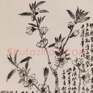 黄胄《桃花》国画花鸟作品图片赏析