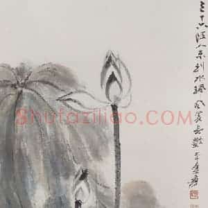 张大千《荷花图》国画花鸟作品图片赏析