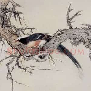张大千《白梅绶带图》国画花鸟作品图片赏析