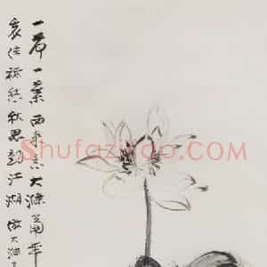 张大千《荷花图》国画花鸟作品图片赏析