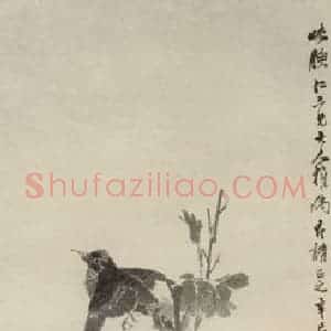 清代 任颐《花卉禽鸟四条屏》国画综合作品图片赏析