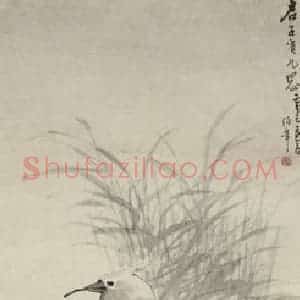 清代 任颐《花卉禽鸟四条屏》国画综合作品图片赏析