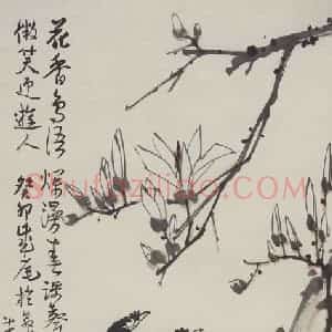 李苦禅《八哥玉兰》国画花鸟作品图片赏析