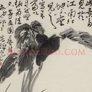 李苦禅《茨菇鹭鸶》国画花鸟作品图片赏析