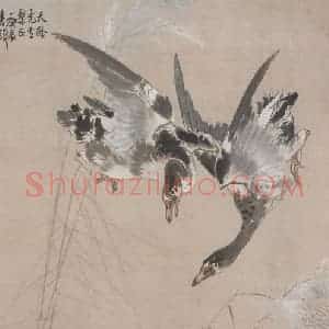 张书旗《芦雁图》国画花鸟作品图片赏析