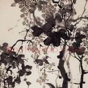 1987年 董寿平《葡萄》国画花鸟写意作品图片赏析