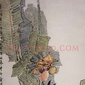 1962年 郭味蕖《芭蕉》国画花鸟写意作品图片赏析