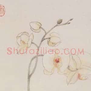1997年 萧淑芳《蝴蝶兰》国画花鸟作品图片赏析