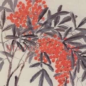 1964年 萧淑芳《天竺》国画花鸟作品图片赏析