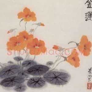 80年代 萧淑芳《金莲花》国画花鸟作品图片赏析