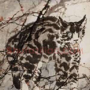 1977年 杨善深《树猫》国画综合作品图片赏析