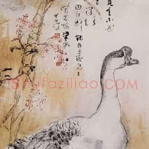 1985年 杨善深《鹅》国画花鸟作品图片赏析