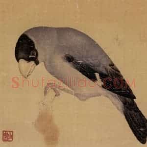 1948年 马晋《花卉翎毛写生》国画花鸟作品图片赏析