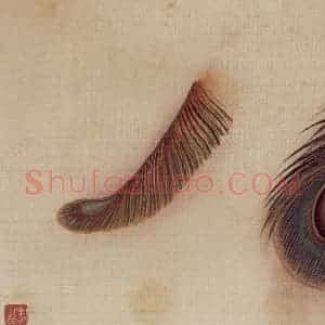 1948年 马晋《花卉翎毛写生》国画花鸟作品图片赏析