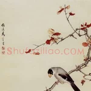 1959年 马晋《秋菊双禽》国画花鸟作品图片赏析
