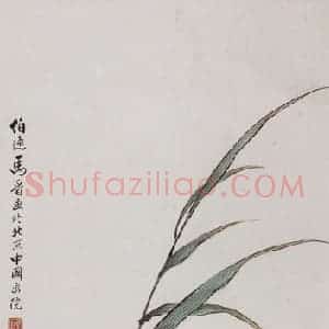 1959年 马晋《湖畔双鸭》国画花鸟作品图片赏析