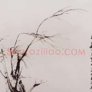 1961年 马晋《马》国画花鸟作品图片赏析