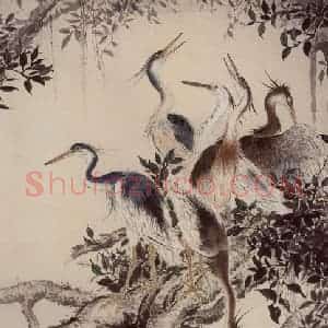 1961年 方人定《栖息》国画花鸟作品图片赏析