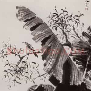 1950年 方人定《芭蕉小鸟》国画花鸟作品图片赏析