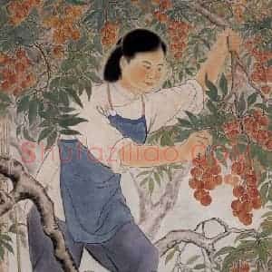 1953年 方人定《荔枝熟了》国画——综合作品图片赏析