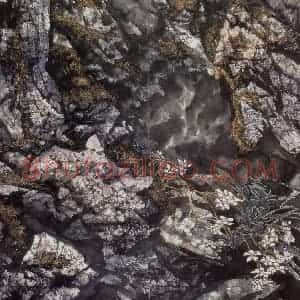 1992年 王晋元《石之魂》国画花鸟写意作品图片赏析