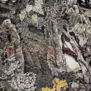 1994年 王晋元《春满雨林》国画花鸟写意作品图片赏析