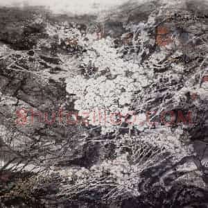 王晋元《风雨山野间》国画花鸟写意作品图片赏析