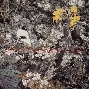 王晋元《春之辉》国画花鸟写意作品图片赏析