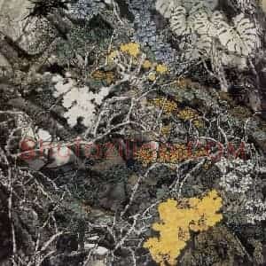王晋元《雨林风采》国画花鸟写意作品图片赏析