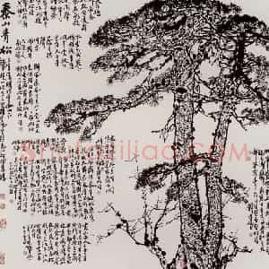 1962年 刘宝纯《泰山青松》国画山水作品图片赏析