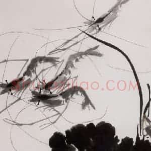 1981年 许麟庐《虾荷图》国画花鸟写意作品图片赏析