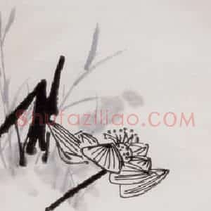 1956年 许麟庐《荷花》国画花鸟写意作品图片赏析