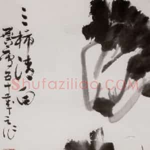 1966年 许麟庐《三柿清白》国画花鸟写意作品图片赏析