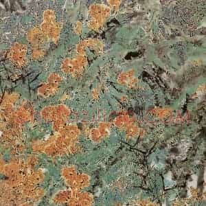 1996年 郭怡孮《野山》国画花鸟作品图片赏析