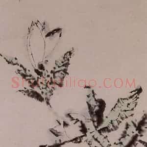 1973年 石鲁《玉兰》国画花鸟写意作品图片赏析
