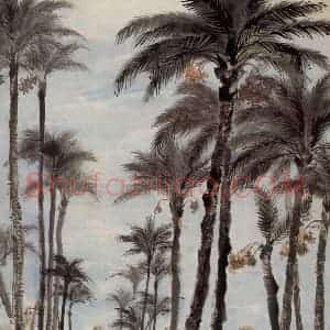 1956年 石鲁《埃及风景》国画山水写意作品图片赏析