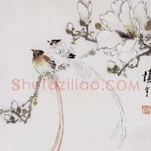 60年代 汪慎生《玉兰绶带》国画花鸟写意作品图片赏析