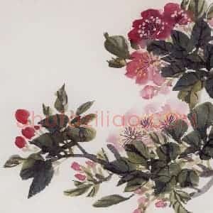 1954年 汪慎生《花卉册页》国画花鸟工笔作品图片赏析