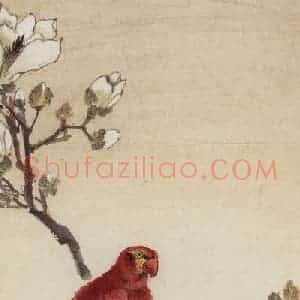 1956年 汪慎生《玉兰鹦鹉》国画花鸟工笔作品图片赏析