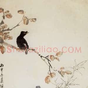 1956年 汪慎生《枫菊八哥》国画花鸟兼工帯写作品图片赏析