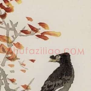 1956年 汪慎生《花鸟草虫书签》国画花鸟写意作品图片赏析