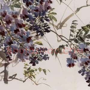 1957年 汪慎生《花鸟册页》国画花鸟写意作品图片赏析