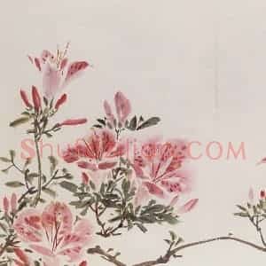 1957年 汪慎生《花鸟册页》国画花鸟兼工帯写作品图片赏析