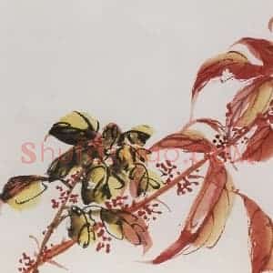 1957年 汪慎生《花鸟册页》国画花鸟兼工帯写作品图片赏析