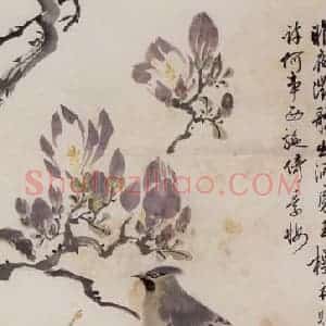 50年代 汪慎生《辛夷牡丹小鸟》国画花鸟兼工帯写作品图片赏析