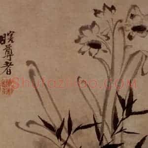 明末清初 石涛《花卉图册》国画花鸟作品图片赏析