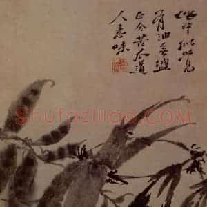 明末清初 石涛《花卉图册》国画花鸟作品图片赏析
